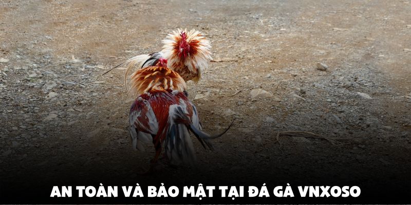 An toàn và bảo mật tại Đá Gà Vnxoso